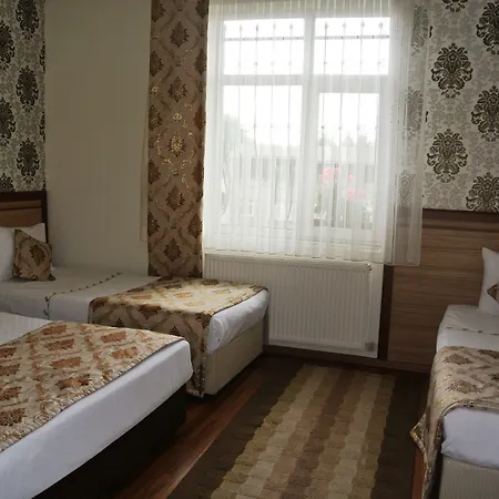Fors Hotel 3*