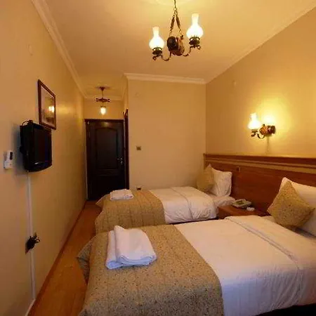 Fors Hotel 3*